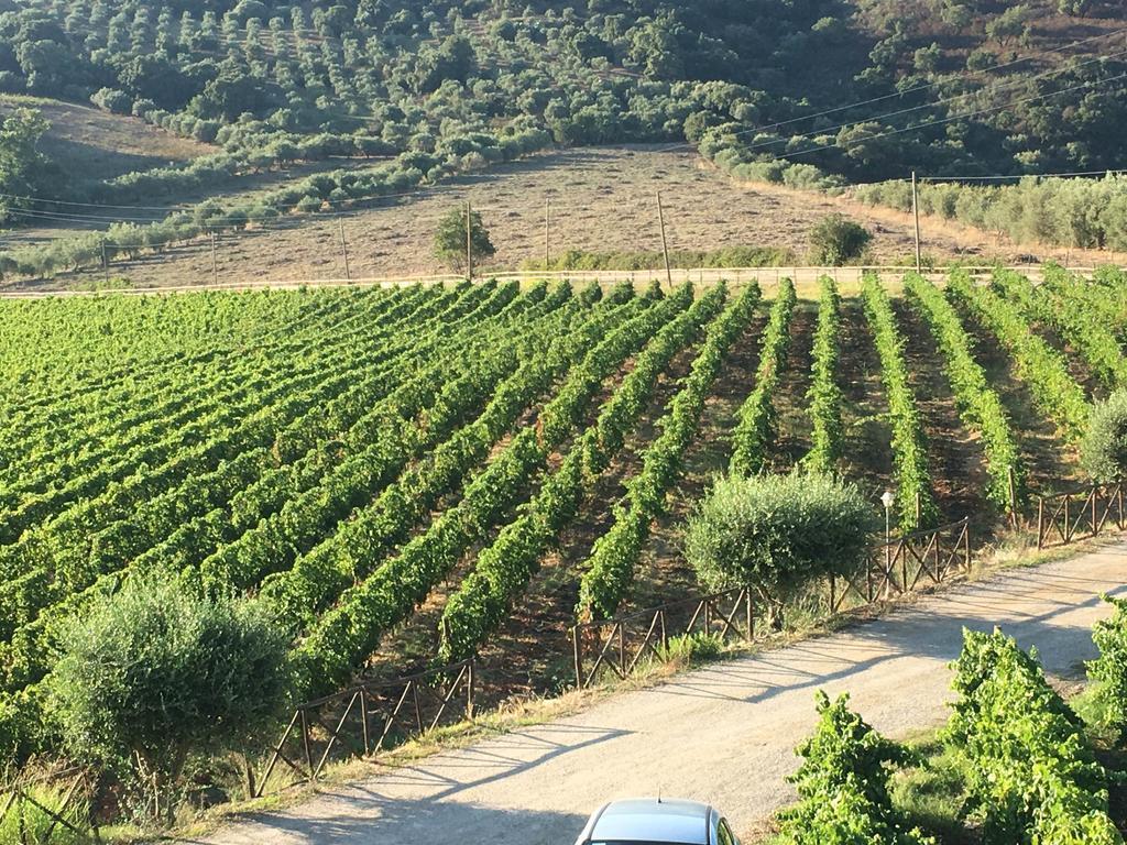 Antica Tindari Patti Exterior foto